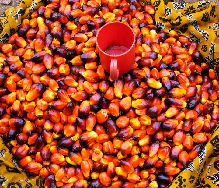 at the market palm nut kernels…