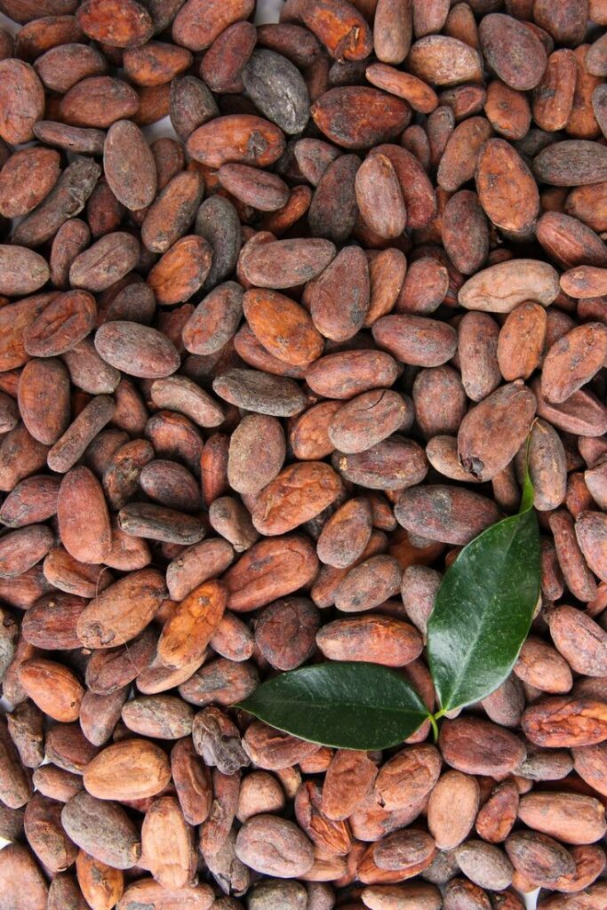 where lumpy cocoa goes to die